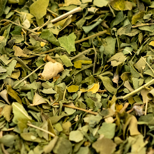MORINGA
