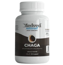 CHAGA