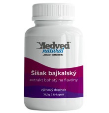 Baikal Skullcap ( Šišiak Bajkalský)